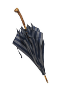 Beast Umbrella by Francesco Maglia